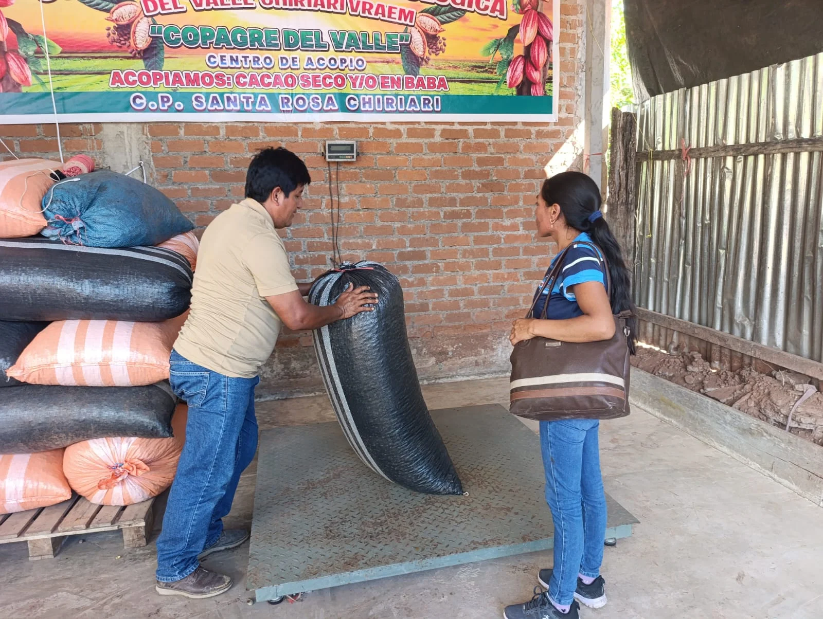 Recepción y pesaje de un saco de cacao en el centro de acopio
